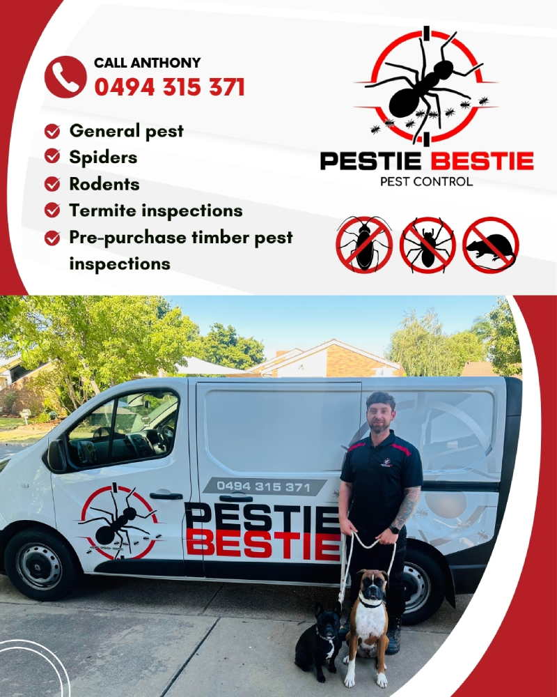 Pestie-Bestie